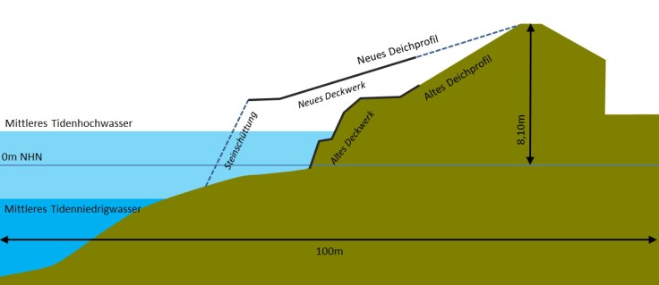 Deichprofil Seedeich Deichbau Deckwerk