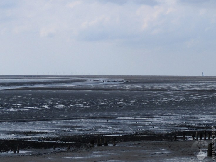 Reusen Priel Reusenfischer