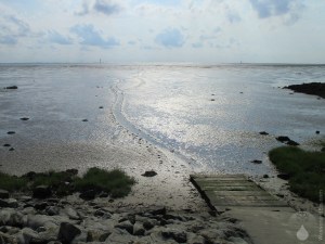 Hundeschlitten Wattenmeer Wurster Nordseeküste.
