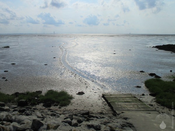 Hundeschlitten Wattenmeer Wurster Nordseeküste.