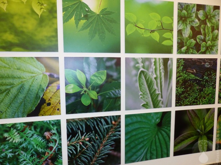 Wandbild Botanika Bremen