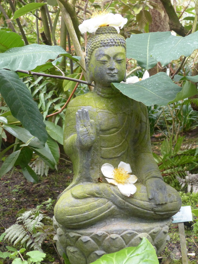 Buddha Botanika Bremen