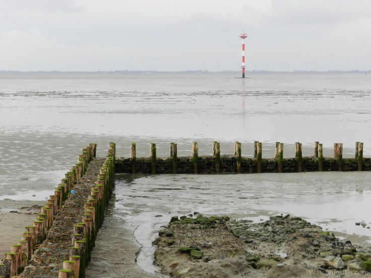 Lahnungen Landgewinnung Wremen