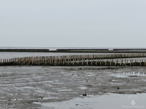 Landgewinnung Wremen Wurster Nordseeküste