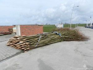 Pricken Fahrrinne Hafen Wattenmeer