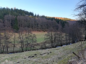 Hoppecketal Willingen Wandern