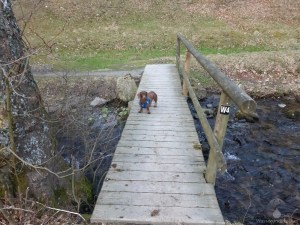 Hund Willingen Gassi Hoppecke
