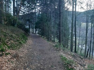 Wanderwege Willingen