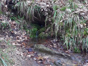 Ewige Quelle Bruchhauser STeine