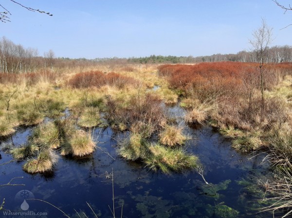 Dorumer Moor Moorlandschaft