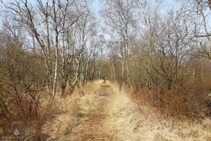 Wanderweg Dorumer Moor Sievern