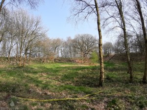 Pipinsburg Burgwall Ringwall