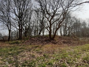 Grabhügel Sievern Hünengrab Hügelgrab