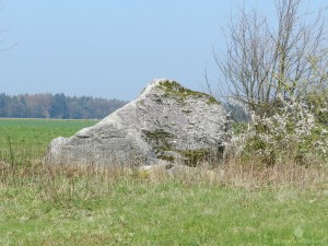 Findling Hohe Lieth Geestland Sievern Eiszeit