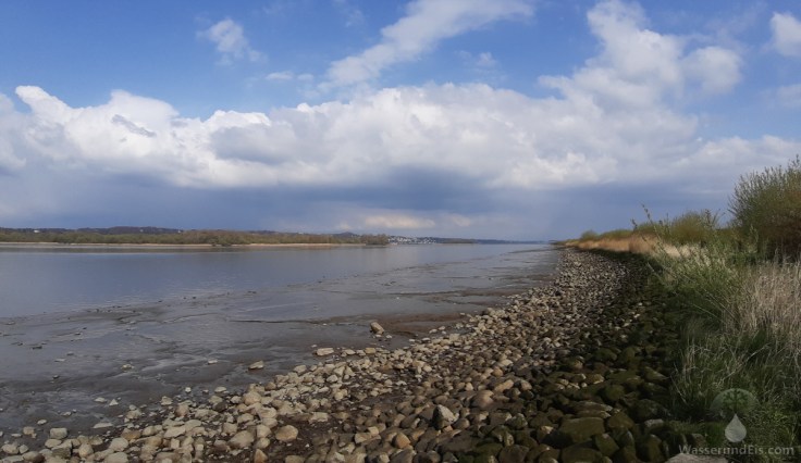 #Elbe bei Neuenfelde