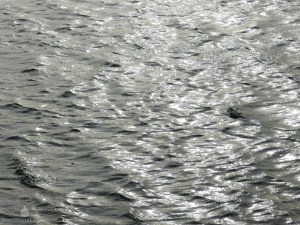 Nordsee Dorum-Neufeld