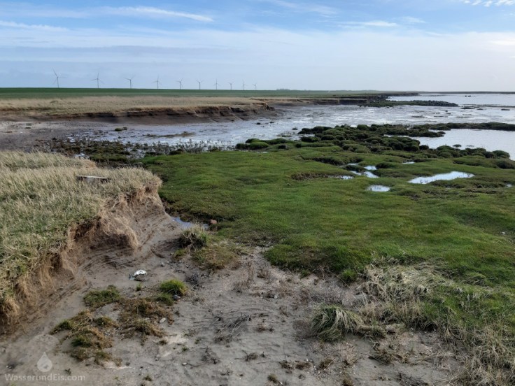 Salzwiesen Dorum-Neufeld
