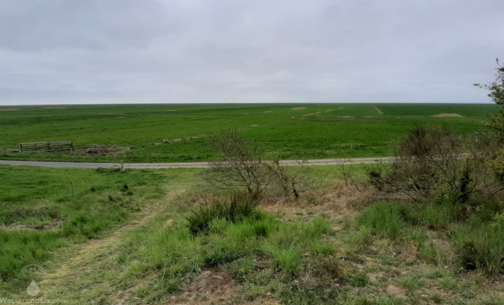 #Vorland Arensch Berensch