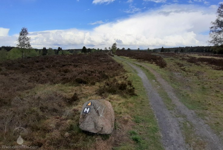 Weseler Heide Lüneburger Heide.