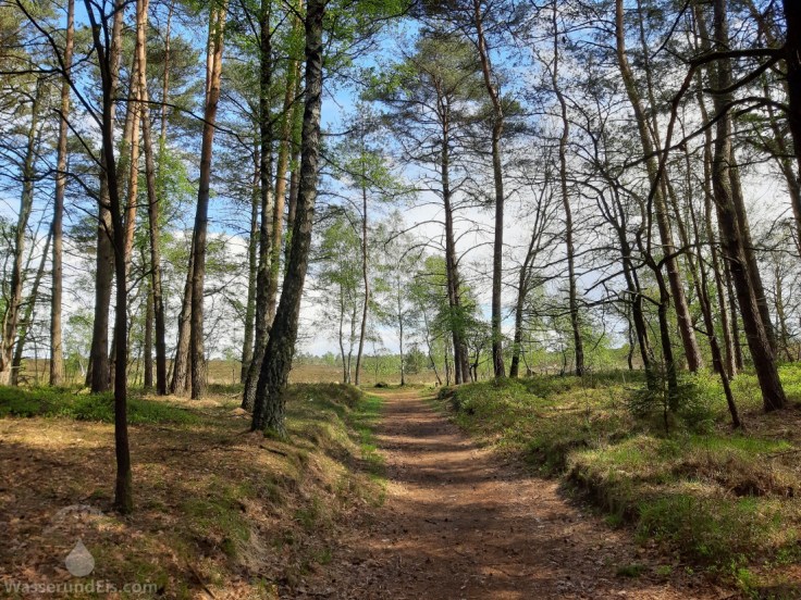Rand der Weseler Heide.