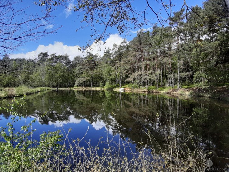 Pastorenteiche Weseler Bach Weseler Heide