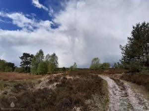 Weseler Heide Wandern Wanderwege Lüneburger Heide