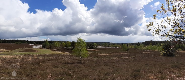 Aussichtspunkt in der Lüneburger Heide bei Undeloh.
