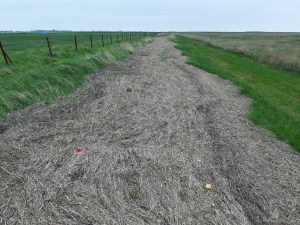 Plastikmüll Nordsee Müll