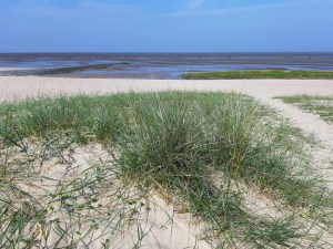 Dünen Sahlenburg Strand Cuxhaven
