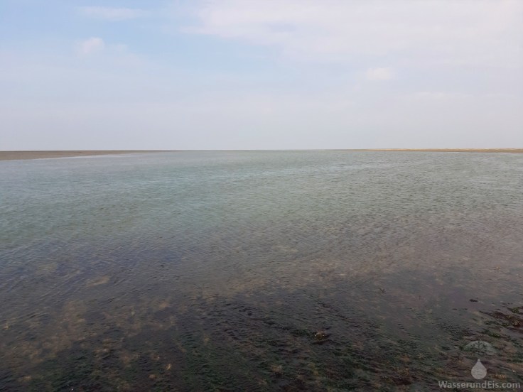 Sahlenburger Loch Priel Watt Neuwerk