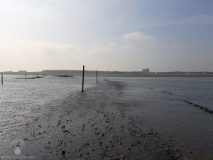 Querung Sahlenburger Loch