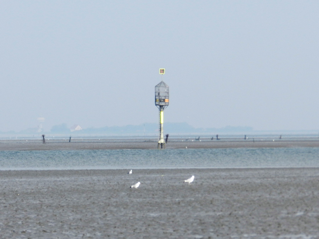 Duhner Loch Watt Priel Neuwerk