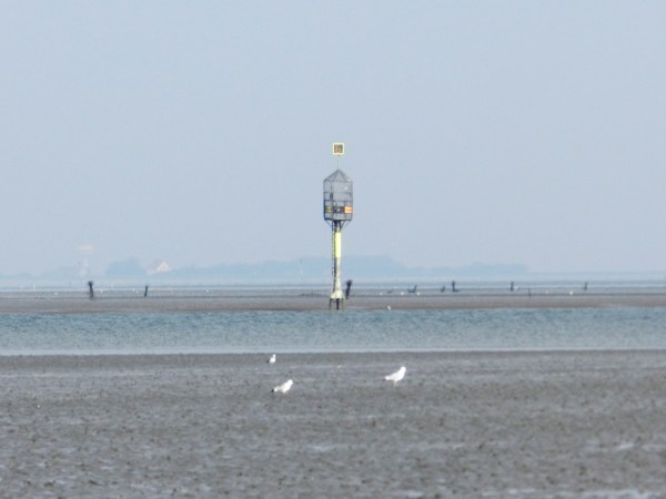 Duhner Loch Watt Priel Neuwerk