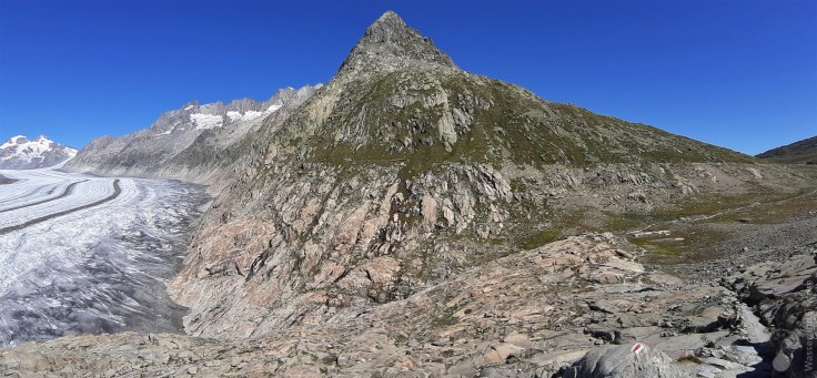 #Aletschgletscher MärjelenseeStrandlinie September 2019