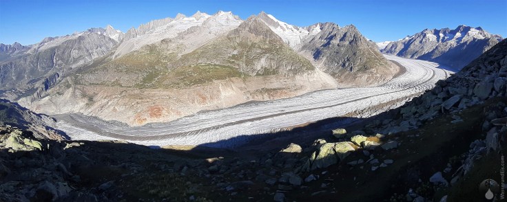 #Panorama Gletscher Aletsch Mittelaletsch