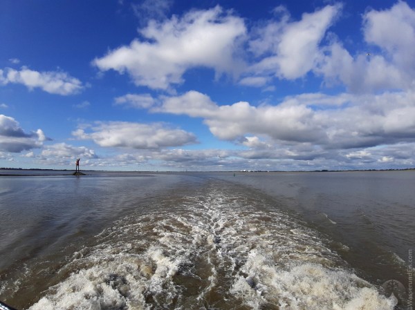 Elbfähre Wischhafen Glückstadt