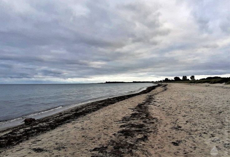 #Pottloch Ostseestrand
