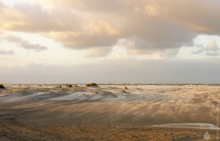 #Sandflug Schiermonnikoog Oktober 2009