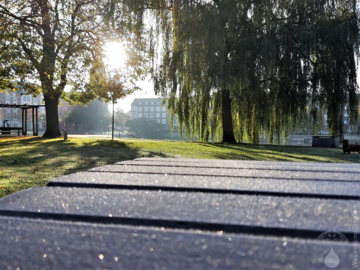 #Frost Herbst Oktober 2019