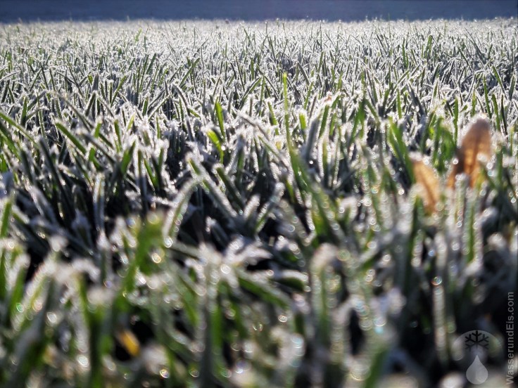 #Raureif Herbst 2019