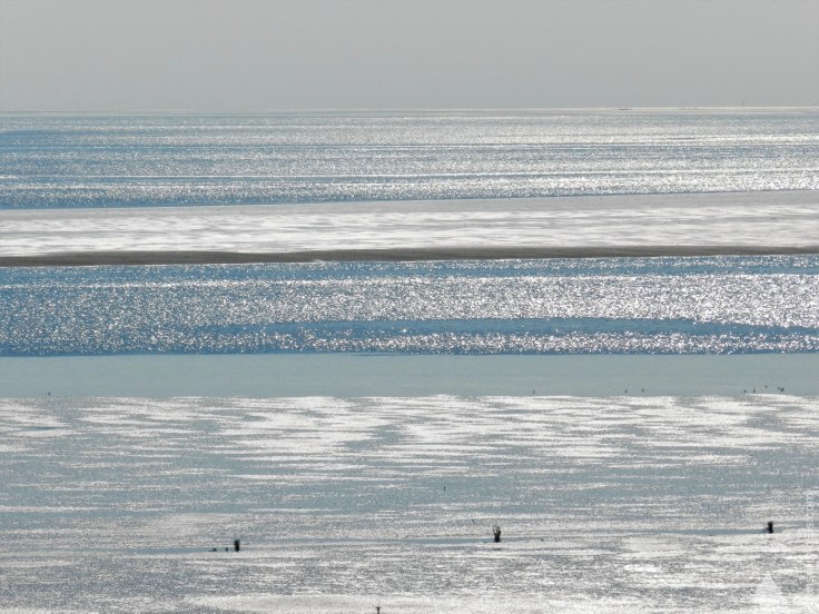 #Wattenmeer Neuwerk 2019