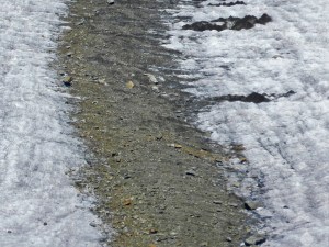 Die Bänder der charakteristischen Mittelmoränen am Aletschgletscher betshen aus Schutt- und Geröllablagerungen die mit Dem Eis ins Tal fließen.