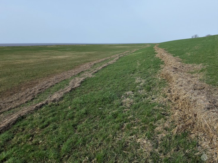 #Deich Treibsel Wurster Nordseeküste 2020