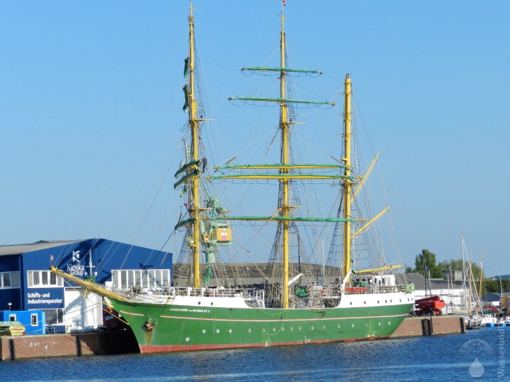 #Alexander von Humbold 2 2020