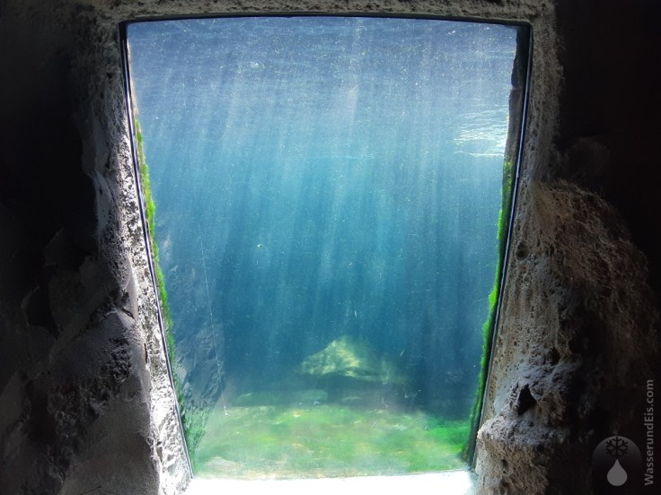 #Zeitportal Bremerhaven Zoo am Meer 2020