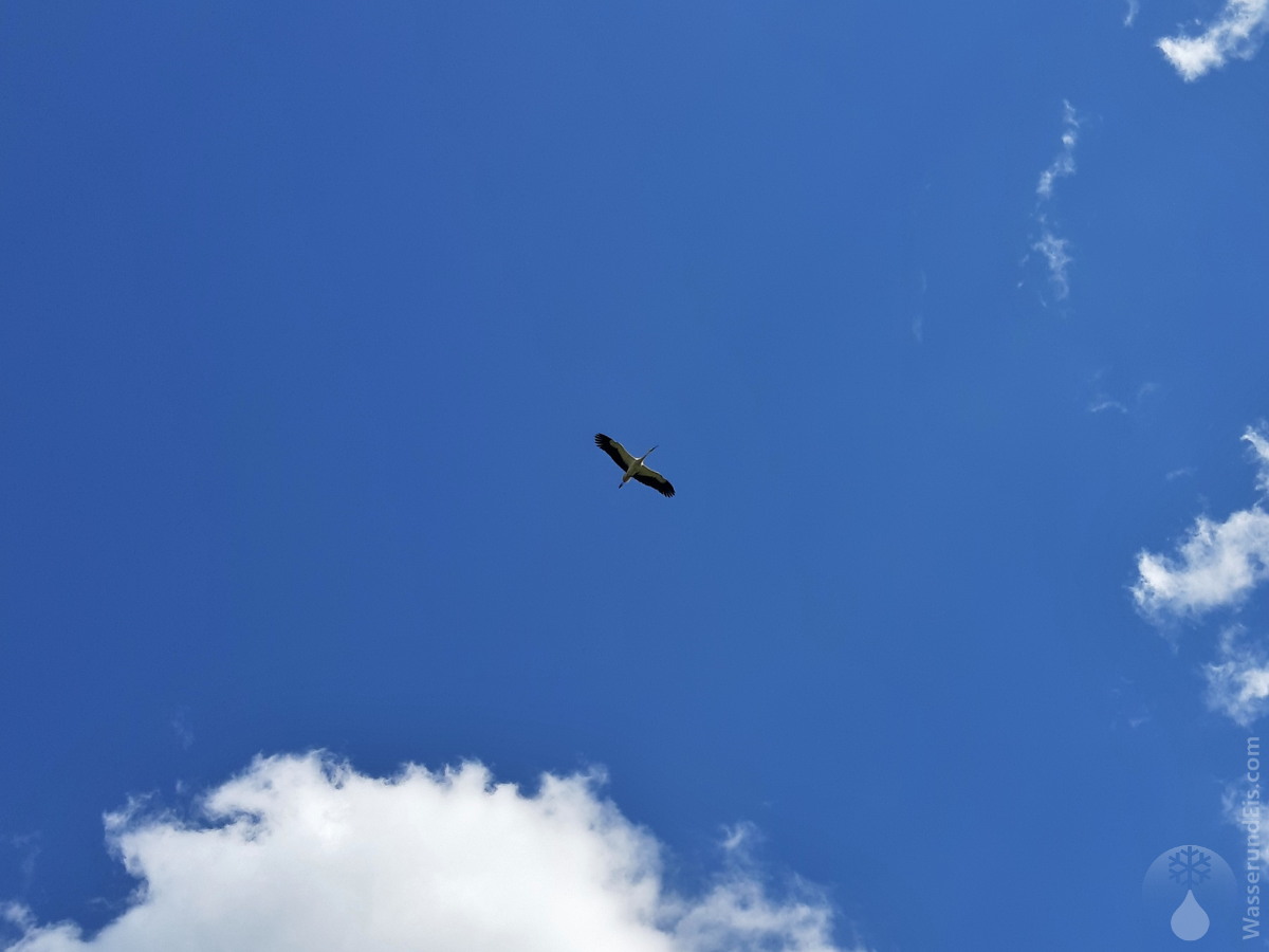 #Landidylle Storch Hamm