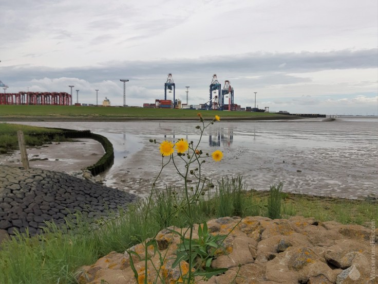#Weddewarden Containerhafen Grauwallkanal