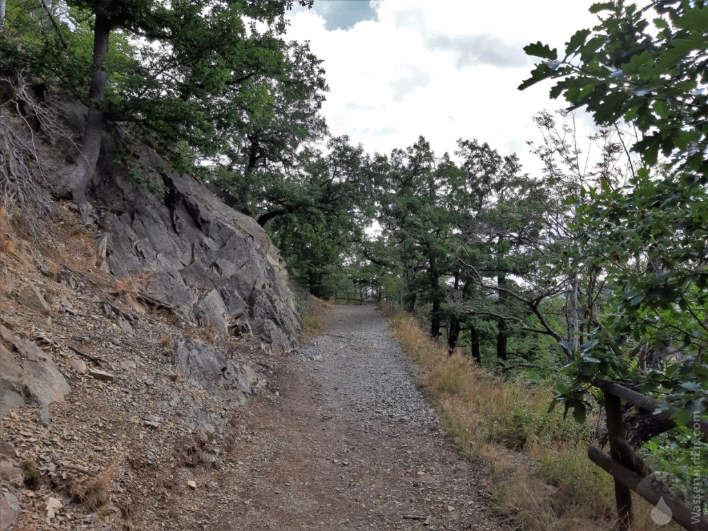 Aufstieg zum Burgberg am Südhang, was den Aufstieg im Sommer schweißtreibend macht.