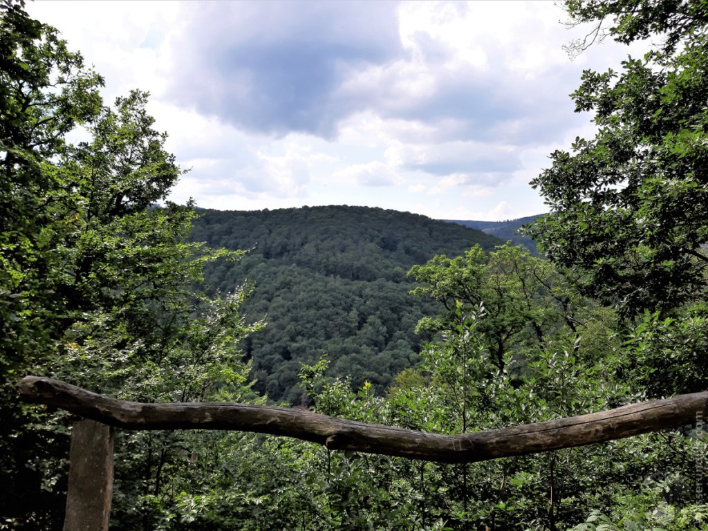 Blick vom Hang des Burgbergs über das Kaltetal zum Ettersberg. Hier kommen wir auf dem Rückweg vorbei.