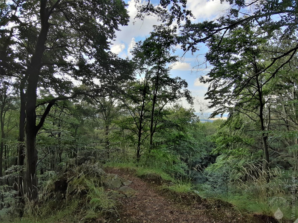 Keine Aussicht an der Ettersklippe.